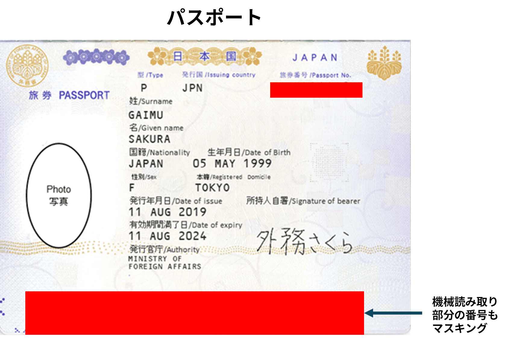 maskingsample2